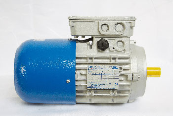 motors estandard